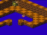 une photo d'Ã©cran de Snake Rattle n Roll sur Nintendo Nes